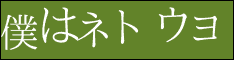 僕はネトウヨ