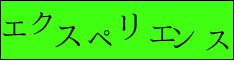 エクスペリエンス